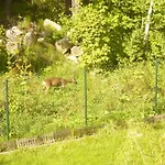 Wynajem Pokoi Willa Pod Lasem